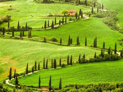 Ponti Di Primavera Coldiretti Migliaia Di Visitatori Negli