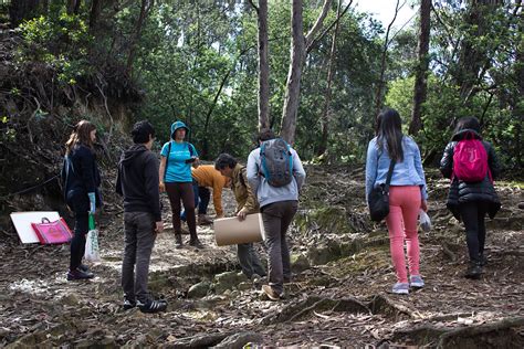 FUNDACIÓN CERROS DE BOGOTÁ Colombia