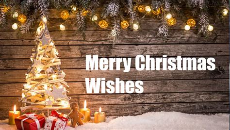 Heartwarming Merry Christmas Wishes Greetings 2023 Share The Best