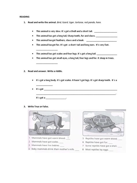 Tiger 3 Unit 4 Test Liveworksheets