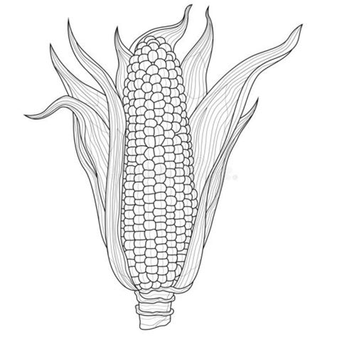Stranice Za Bojanje Kukuruza Za Ispis I Besplatno Za Djecu GBcoloring