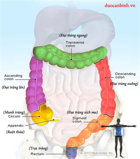 Tổng quan bệnh viêm đại tràng