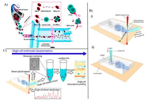 Chemosensors Free Full Text Microfluidic Platforms For Single Cell