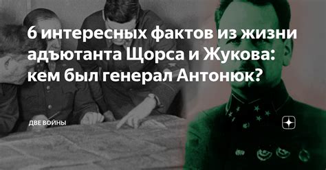 6 интересных фактов из жизни адъютанта Щорса и Жукова: кем был генерал ...