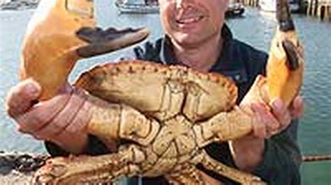 Biggest Crab