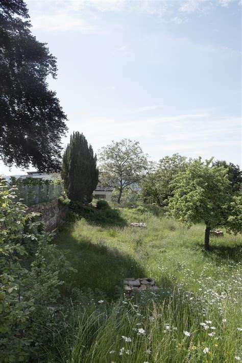 Garten Wohnbebauung Lenzhalde Achim Birnbaum