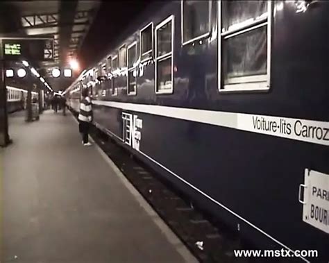 Sophia In The Train In French Blowjob Porn Xhamster