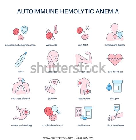 S Ntomas De La Anemia Hemol Tica Autoinmune Vector De Stock Libre De