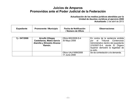 Juicios De Amparos Promovidos Ante El Poder