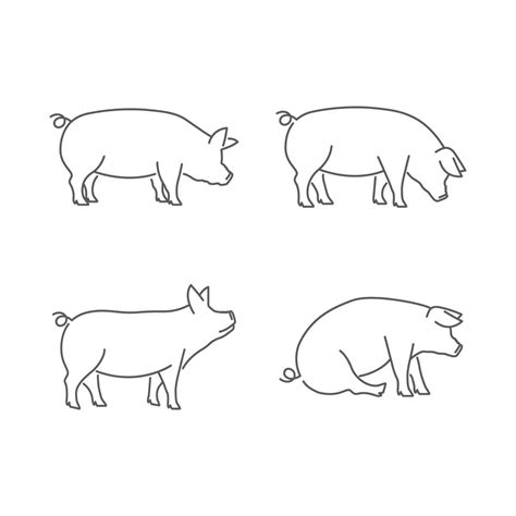 Pig Pictogram Linear Icon Vector Vector Illustration Set Of Pig