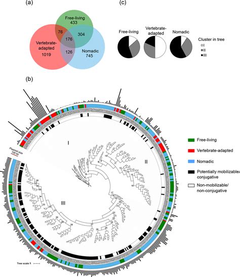 HCL Analysis Of Lactobacillaceae Plasmids A Sharing Of Protein