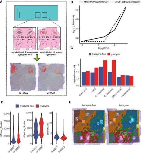 Simultaneous Profiling Of Host Expression And Microbial Abundance By