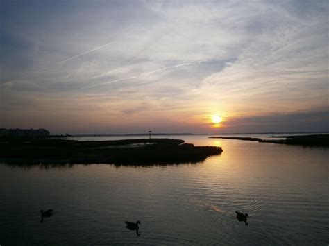 Fagers Island grill @ sunset, OC,Md. | Ocean city maryland, Ocean city ...