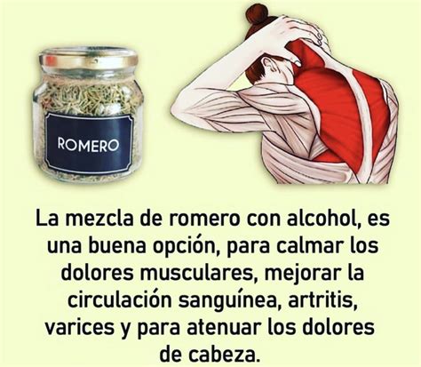 Mezcla Romero Con Alcohol Bien De Salud