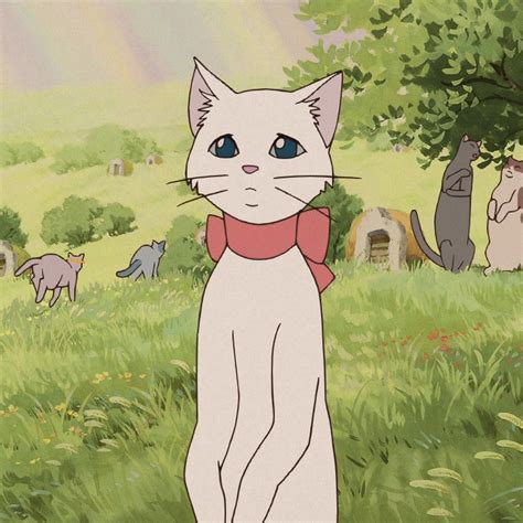 Miyazaki the cat returns - lanetabars