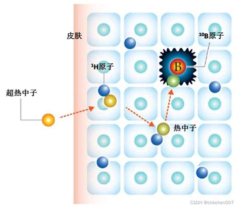 硼中子俘获疗法进展Advances In Boron Neutron Capture TherapyIAEA2023 iaea