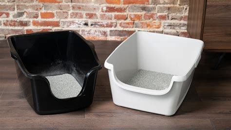 9 Best Cat Litter Boxes of 2024 - Reviewed