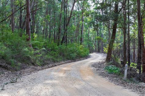 Wollemi National Park | a heritage listed national park with beautiful ...