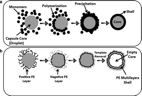 Schematic Illustration For Microcapsule Preparation A Emulsion