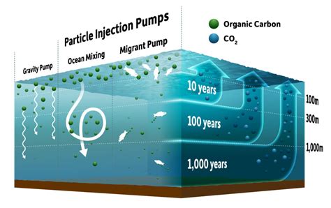 New View Of How Ocean Pumps Impact Climate Change