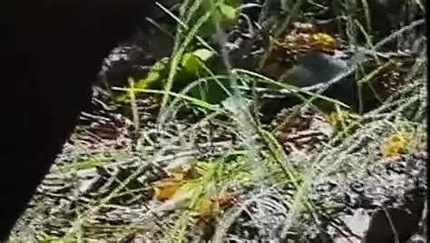 Real Mature Italian Slut Fucked In The Open Air Xhamster