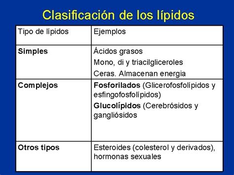 Cuales Son Los Lipidos Complejos Ejemplos Dinami