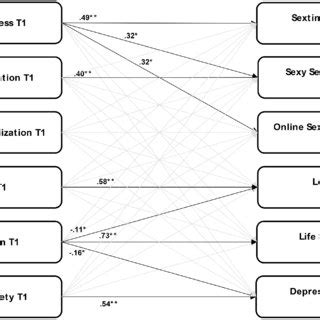 Cross Lagged Panel Model To Explain The Longitudinal Relationships