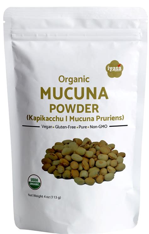 Organic Mucuna Powder Kapikachhu Mucuna Pruriens Ayurveda Etsy