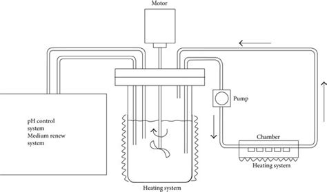 Schematic Diagram Of The Bioreactor System Download Scientific Diagram