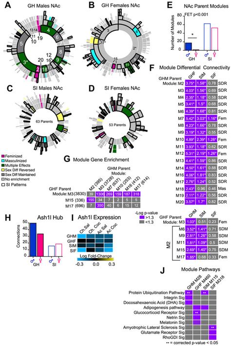 Sex Specific Transcriptional Changes In Response To Adolescent Social Stress In The Brains