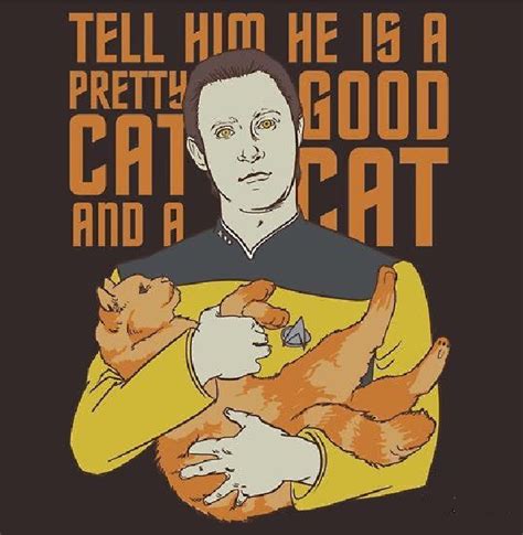 23 Funny Memes For Star Trek Fans Artofit