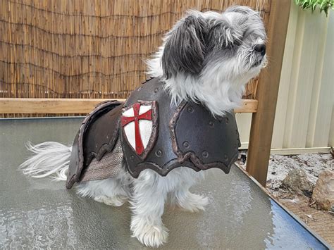 Cosplay Diy Prop Basic Dog Armor Armour Costume Pattern Etsy