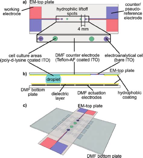 Digital Microfluidic Dmf Device For Integrated Neuronal Cell Culture