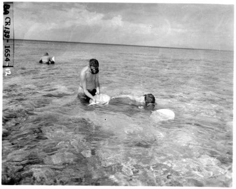 See What Has Happened To Bikini Island Decades After Nuclear Tests Page Of