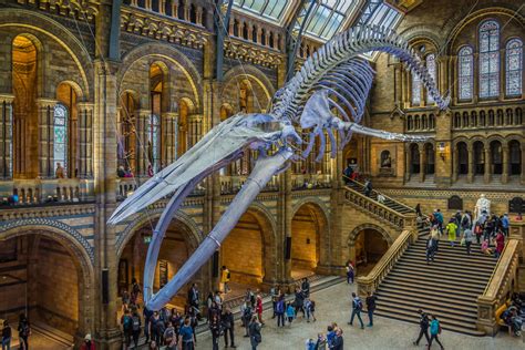 7 Must See Artefacts In London London Planner