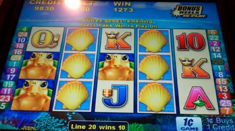 Turtle Treasure Slot Machine Bonus Free Games W Stacked Turtles