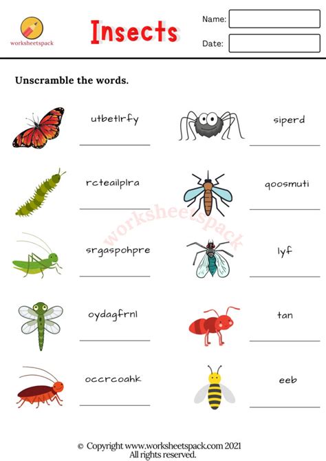 Free Insects Worksheets Worksheetspack