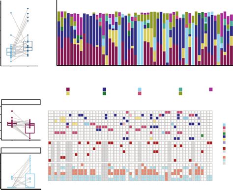 Tumor Mutational Burden TMB Mutational Signature And Landscape Of