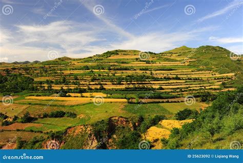 Loess plateau stock photo. Image of agriculture, trees - 25623092