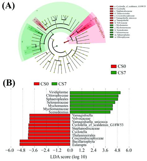 Linear Discriminant Analysis Lda Integrated With Effect Size Lefse