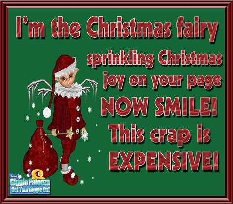 I'm The Christmas Fairy Pictures, Photos, and Images for Facebook ...