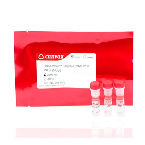 酵素試薬キット Horse Power Canvax 溶液 TaqDNAポリメラーゼ PCR