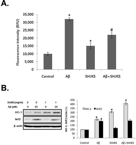 Study On Protection Against β Amyloid Peptide Toxicity With Oral