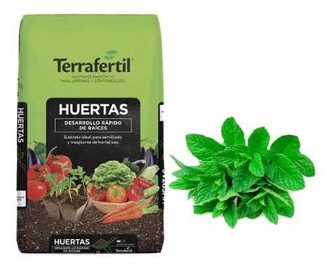 Sustrato Huertas Terrafertil 50lt Con Semillas De Menta