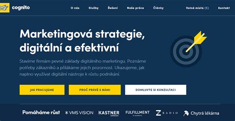 Efektivn Marketingov Strategie Cognito Cz