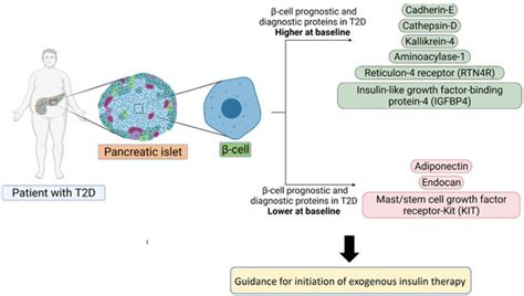 Metabolites Free Full Text Diagnostic And Prognostic Protein