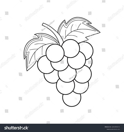 Beautiful Grapes Line Art Imagesgrapes Outline Stock Vector (Royalty ...