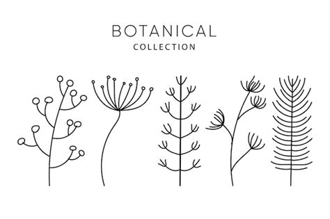 Premium Vector Set Of Leaves Elements Branches