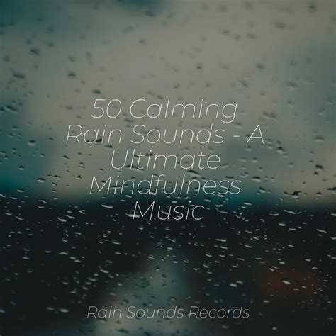 50 Calming Rain Sounds - A Ultimate Mindfulness Music - Canciones de ...