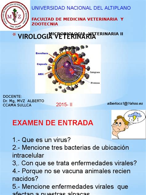 Virologia Veterinariapptx Virus Rna Prueba Gratuita De 30 Días